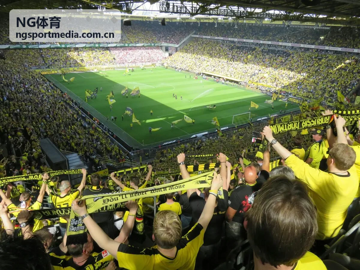 NG体育手机端清晰展示赛事数据